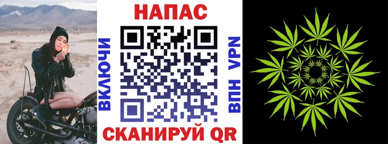 Магазины продажи наркотиков Волгоград Конопля Alpha-PVP Cocaine ГАШИШ Меф мяу мяу