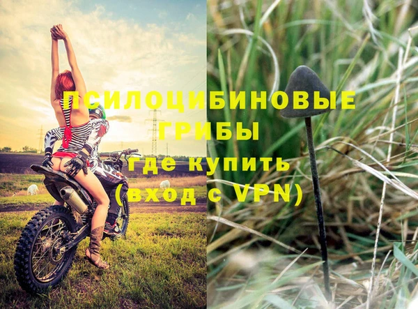 mdpv Армянск