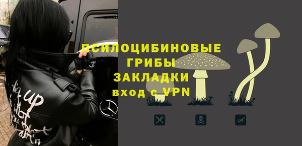 spice Алексеевка
