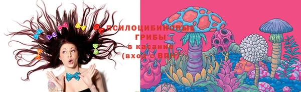 герыч Алексин