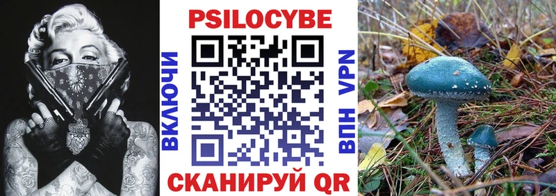 mega ССЫЛКА darknet телеграм Галлюциногенные грибы Psilocybine cubensis Волгоград